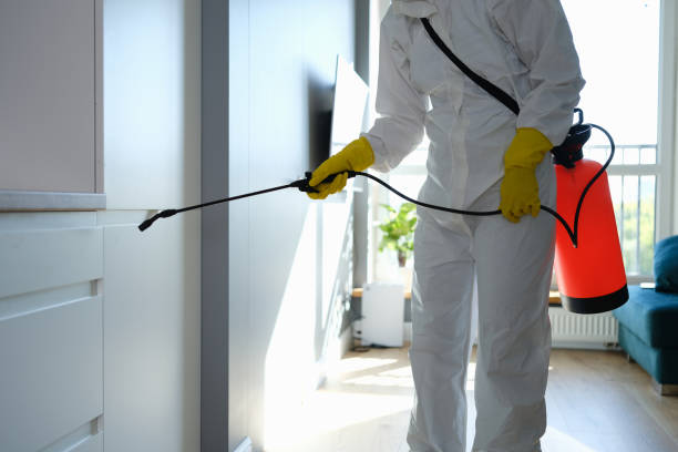 Home Mold Removal in Okemos, MI